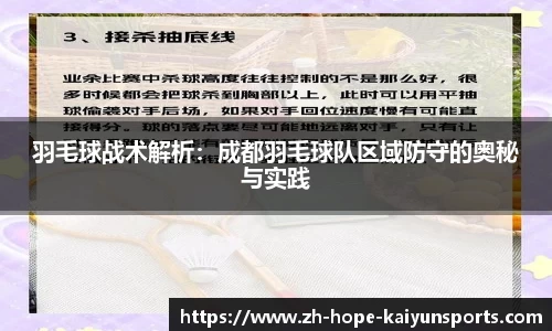 羽毛球战术解析：成都羽毛球队区域防守的奥秘与实践